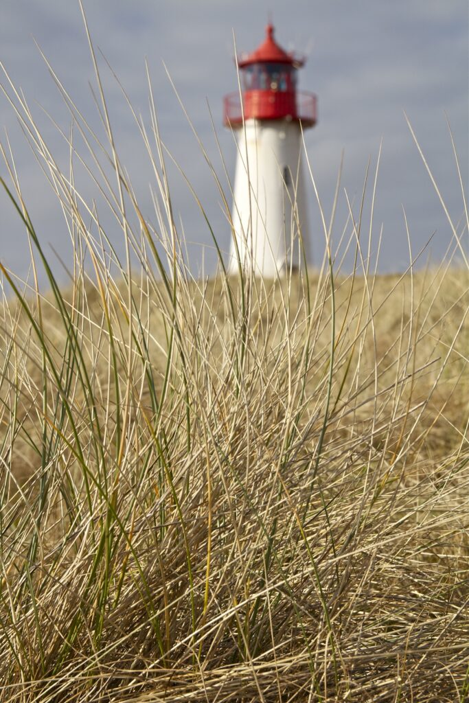 Sylt2