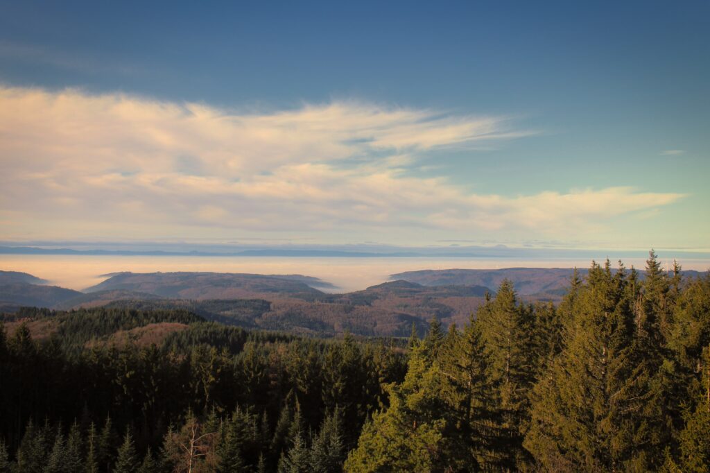 schwarzwald 3